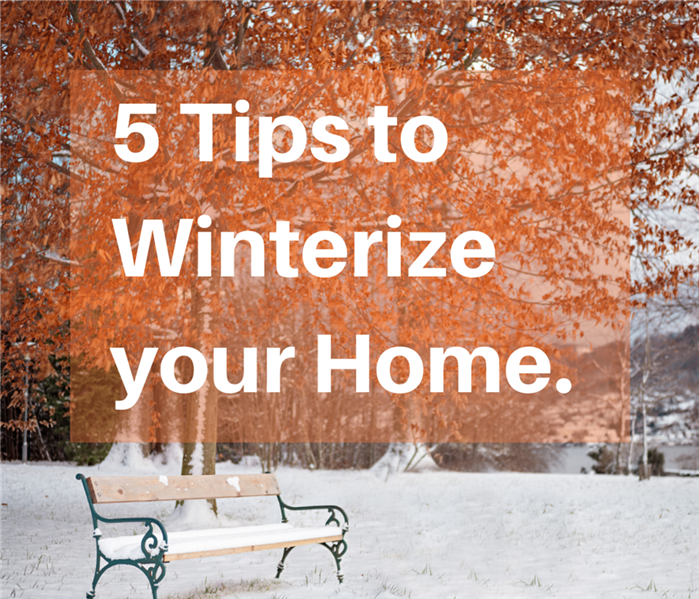 Large tree with red leaves, snow on the ground and a bench. Text that says "5 Tips to Winterize Home" is in the forefront.