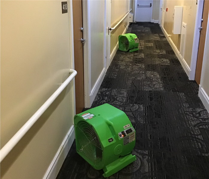 Two green fan-like Air Movers sit on gray carpet in a hallway.