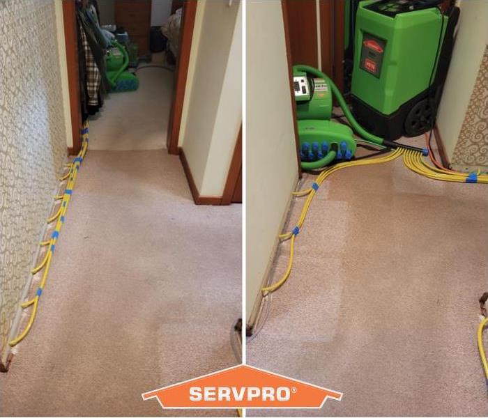 Injecta-dry at work on brown carpet 